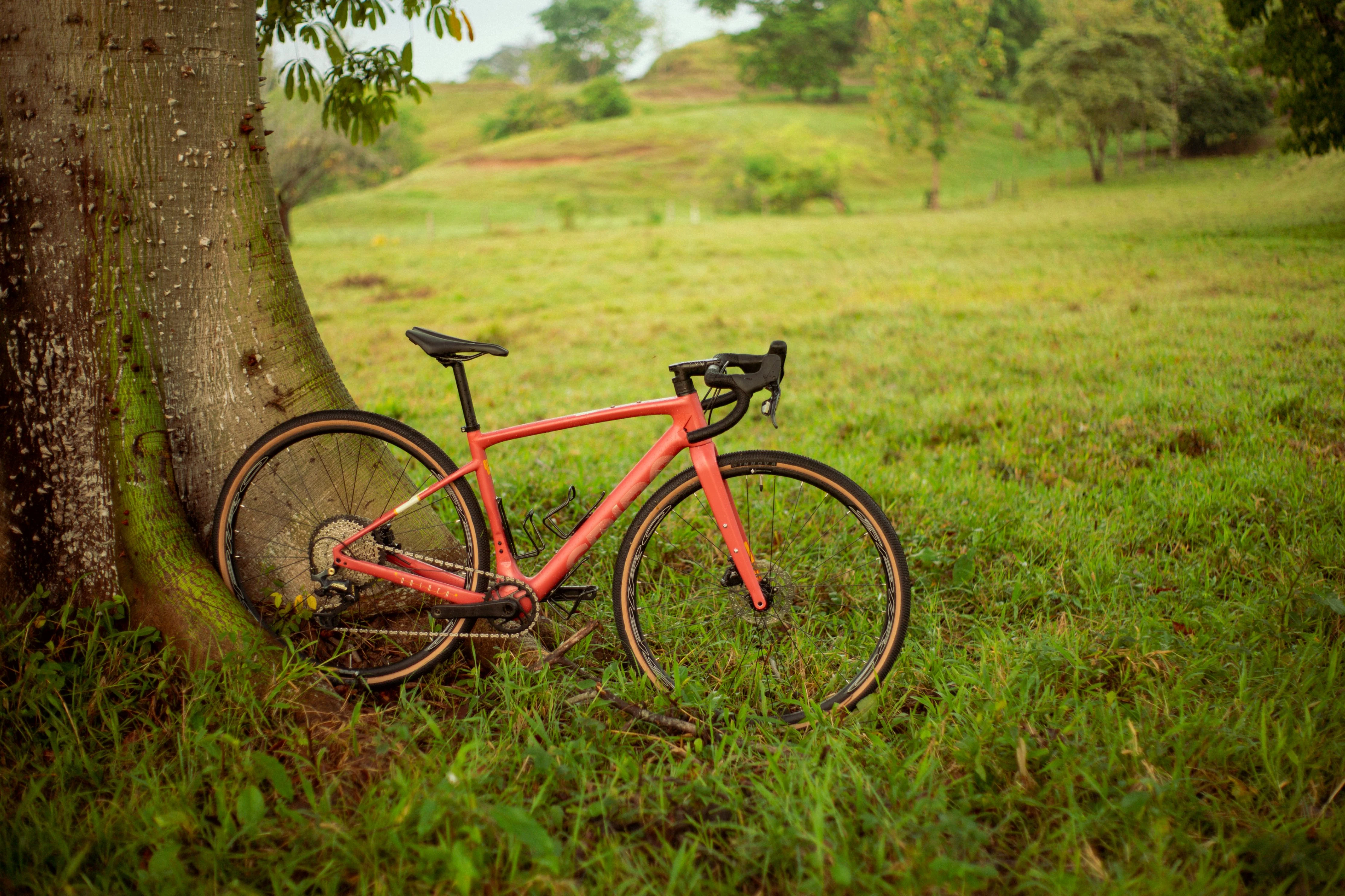 Bicicleta de gravel ORIGEN en carbono con grupo LTWOO GRT de 1x12 velocidades - Image 12