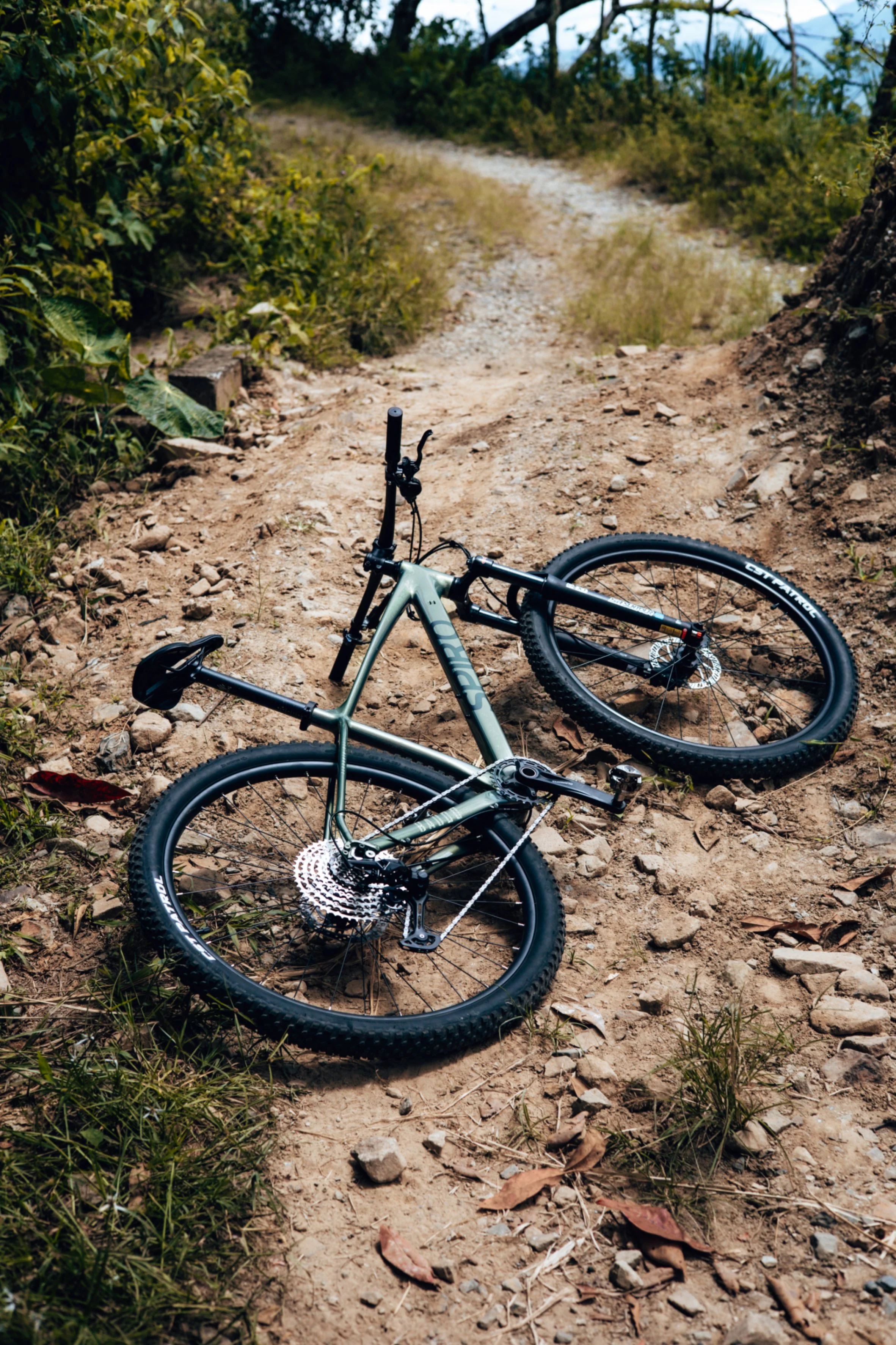 Bicicleta de montaña todo terreno GAIA en aluminio con grupo Shimano Deore NS - Image 8