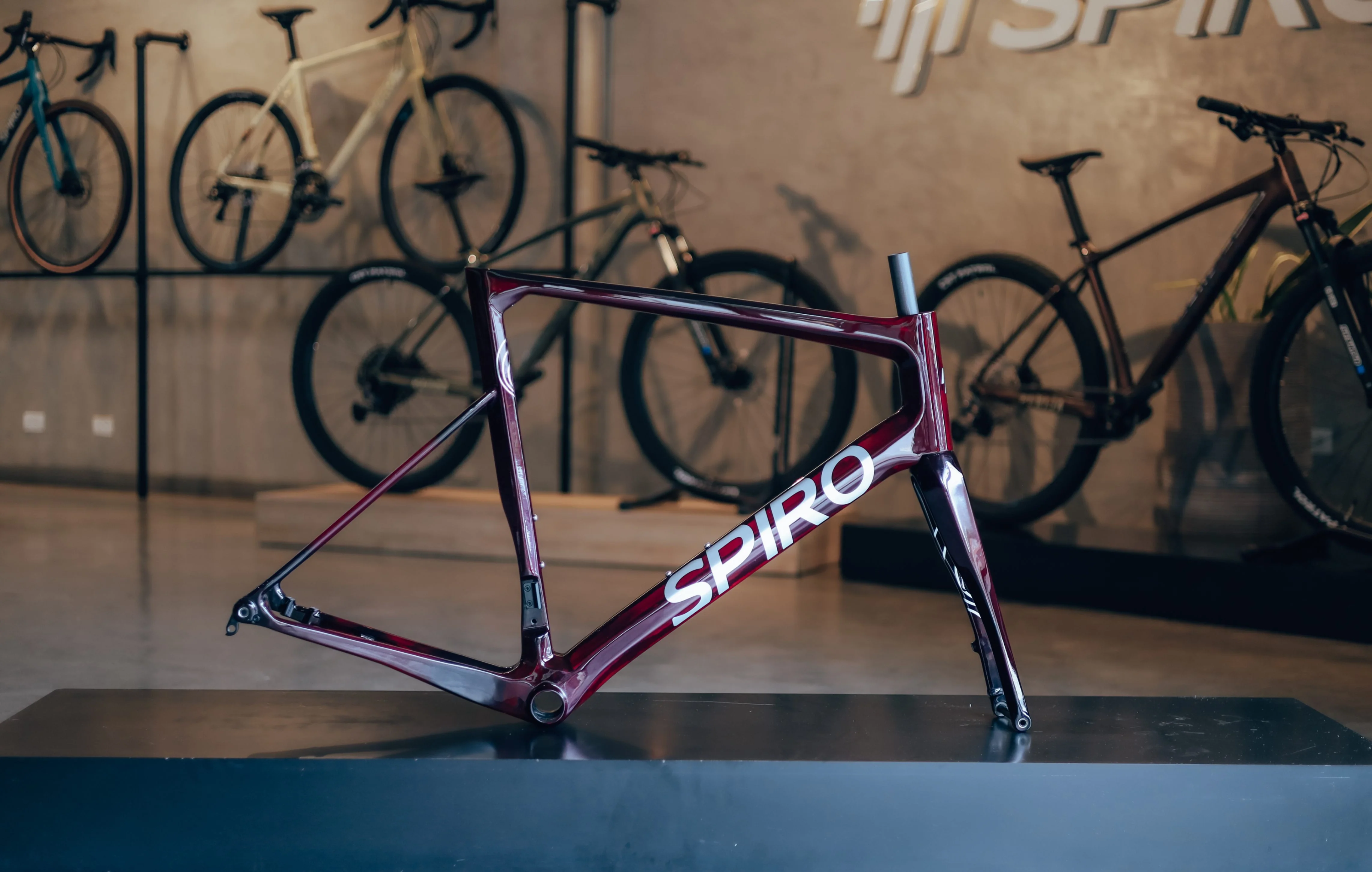 Marco o bicicleta de ruta LEGEND SIKI en carbono talla XL